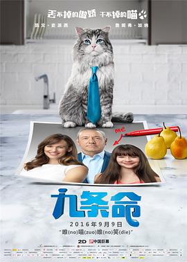 久久久久久久一精品